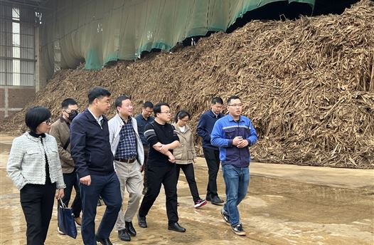 自治区生态环境厅大气环境处处长张立宏、自治区糖业发展办科技处四级调研员范波澜一行到广西崇左得力新能源有限公司调研