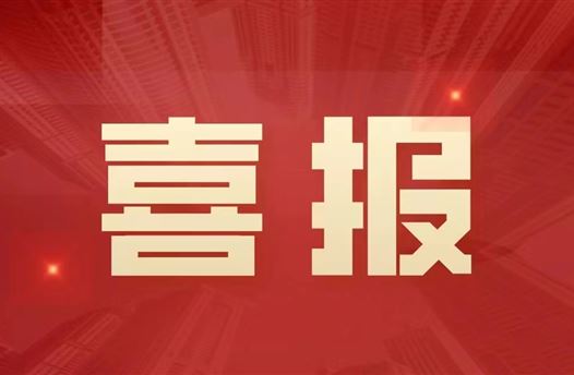 喜报|广西得力木业开发有限公司、广西崇左得力新能源有限公司荣获“高新技术企业”殊荣 